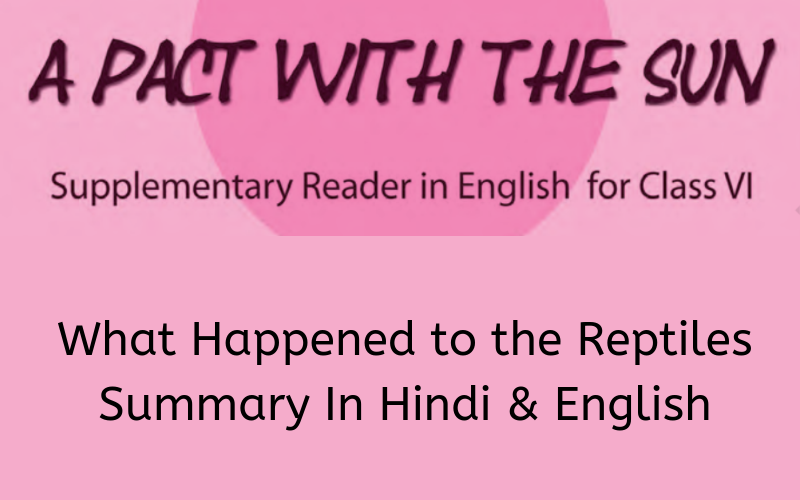What Happened to the Reptiles Summary Class 6 English
