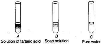 Acids, Bases and Salts Class 7 Extra Questions Science Chapter 5 2