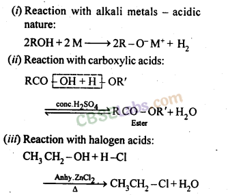 Alcohols, Phenols and Ethers Class 12 Notes Chemistry Chapter 11 img-1