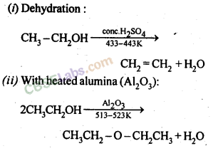 Alcohols, Phenols and Ethers Class 12 Notes Chemistry Chapter 11 img-2
