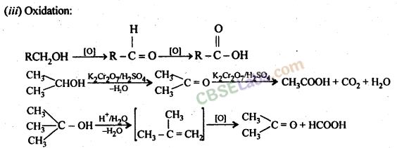 Alcohols, Phenols and Ethers Class 12 Notes Chemistry Chapter 11 img-3