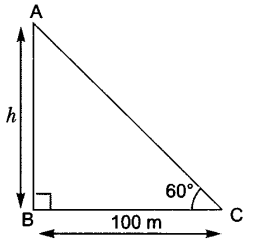 Applications of Trigonometry Class 10 Q 4 i