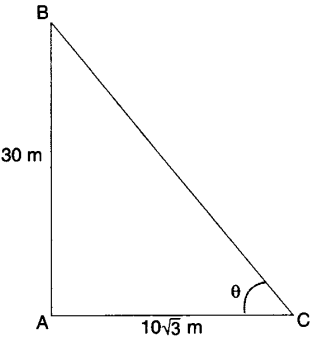 Applications of Trigonometry Height and Distance Class 10 Q 8 i