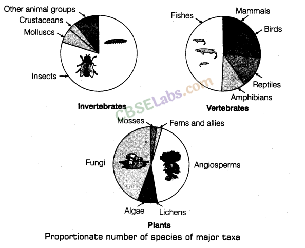 Biodiversity and Conservation - CBSE Notes for Class 12 Biology img-1