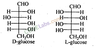 Biomolecules Class 12 Notes Chemistry Chapter 14 img-1