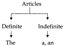 CBSE Class 6 English Grammar Articles 1