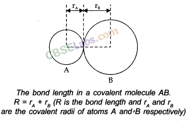 Chemical Bonding and Molecular Structure Class 11 Notes Chemistry Chapter 4 img-14