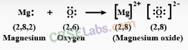 Chemical Bonding and Molecular Structure Class 11 Notes Chemistry Chapter 4 img-3