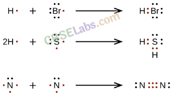 Chemical Bonding and Molecular Structure Class 11 Notes Chemistry Chapter 4 img-8