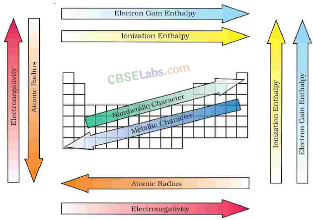 Classification of Elements and Periodicity in Properties Class 11 Notes Chemistry Chapter 3 img-10