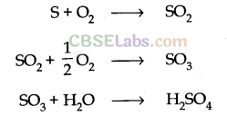 Environmental Chemistry Class 11 Notes Chemistry Chapter 14 img-1