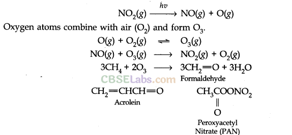 Environmental Chemistry Class 11 Notes Chemistry Chapter 14 img-6