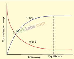 Equilibrium Class 11 Notes Chemistry Chapter 7 img-3