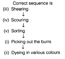 Fibre to Fabric Class 7 Extra Questions Science Chapter 3 sh Q 7