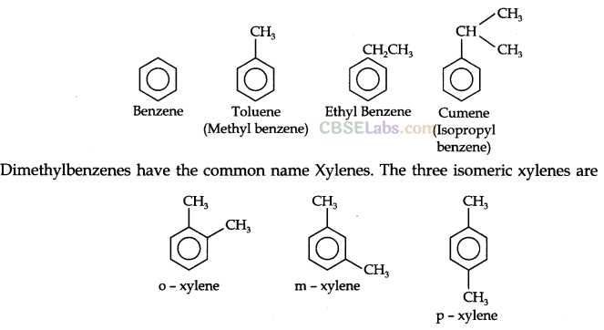 Hydrocarbons Class 11 Notes Chemistry Chapter 13 img-20