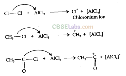 Hydrocarbons Class 11 Notes Chemistry Chapter 13 img-32