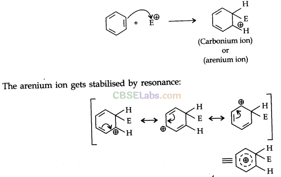 Hydrocarbons Class 11 Notes Chemistry Chapter 13 img-33