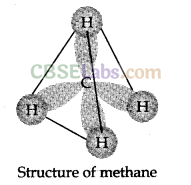 Hydrocarbons Class 11 Notes Chemistry Chapter 13 img-6