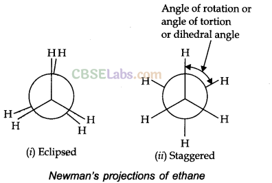 Hydrocarbons Class 11 Notes Chemistry Chapter 13 img-9