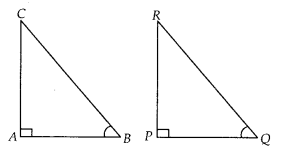 NCERT Exemplar Class 10 Maths Chapter 6 Triangles Ex 6.2 Q8
