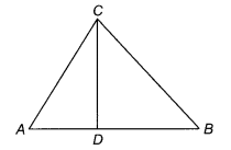 NCERT Exemplar Class 10 Maths Chapter 6 Triangles Ex 6.3 Q13