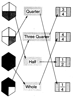 NCERT Solutions for Class 4 Mathematics Unit-9 Halves And Quarters Page 101 Q1.7
