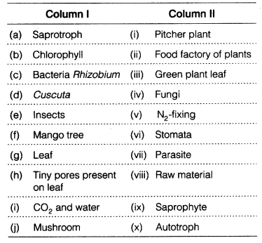 Nutrition in Plants Class 7 Extra Questions Science Chapter 1 imgg Q 10