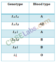 Principles of Inheritance and Variation - CBSE Notes for Class 12 Biology img-5