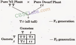 Principles of Inheritance and Variation - CBSE Notes for Class 12 Biology img-6