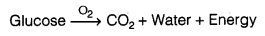 Respiration in Organisms Class 7 Extra Questions Science Chapter 10 1