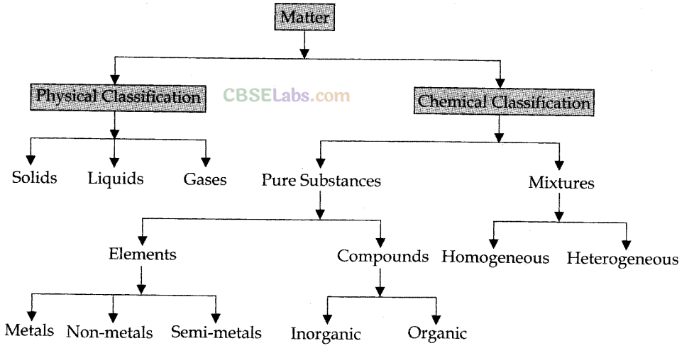 Some Basic Concepts of Chemistry Class 11 Notes Chapter 1 img-1