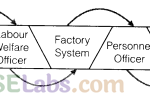 Staffing – CBSE Notes for Class 12 Business Studies img-1
