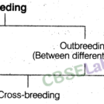 Strategies Enhancement in Food Production - CBSE Notes for Class 12 Biology img-1