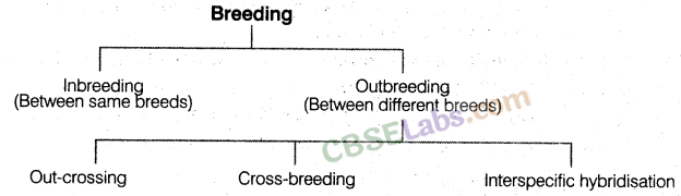 Strategies Enhancement in Food Production - CBSE Notes for Class 12 Biology  - Learn CBSE