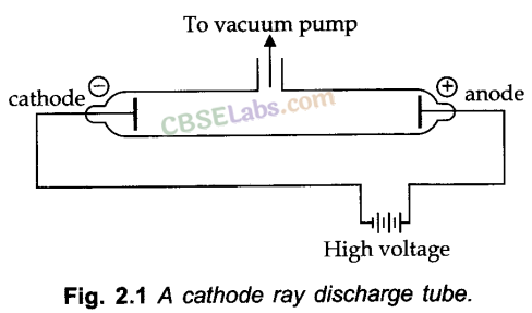 Structure of Atom Class 11 Notes Chemistry Chapter 2 img-1