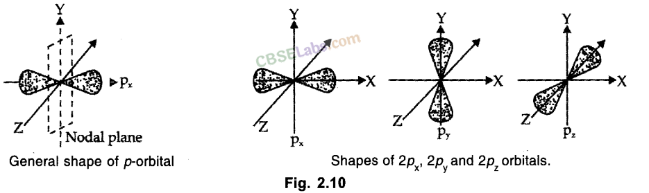 Structure of Atom Class 11 Notes Chemistry Chapter 2 img-23