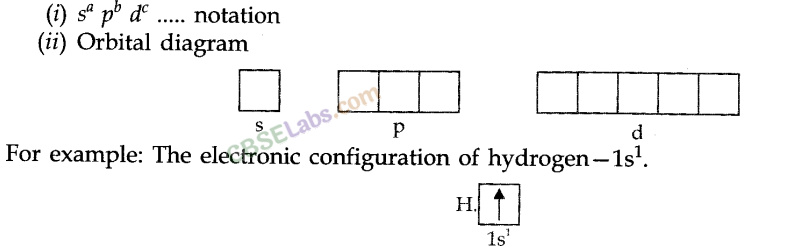 Structure of Atom Class 11 Notes Chemistry Chapter 2 img-26