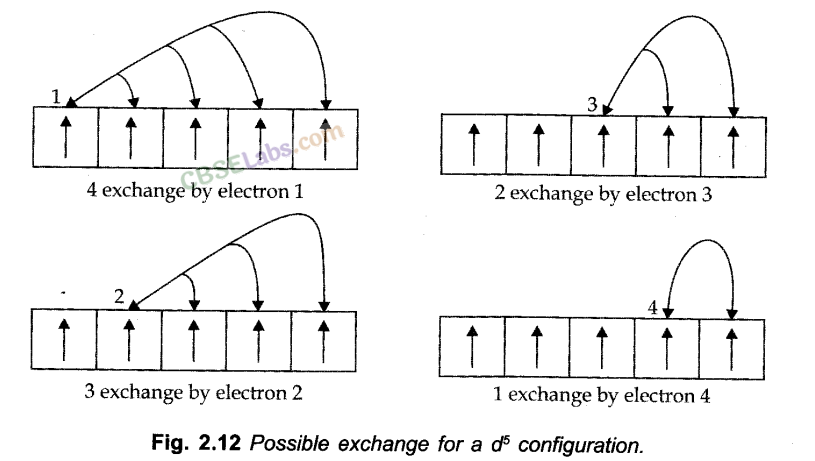 Structure of Atom Class 11 Notes Chemistry Chapter 2 img-27