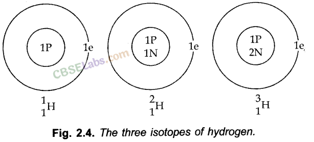 Structure of Atom Class 11 Notes Chemistry Chapter 2 img-6