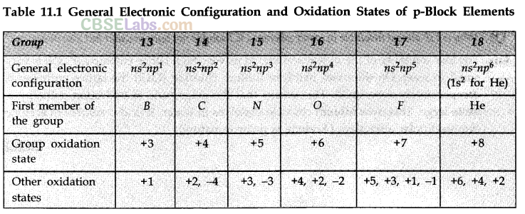 The p-Block Elements Class 11 Notes Chemistry Chapter 11 img-1