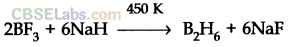 The p-Block Elements Class 11 Notes Chemistry Chapter 11 img-4