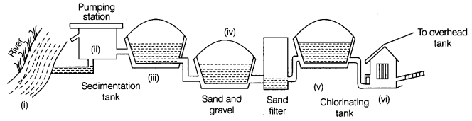 Wastewater Story Class 7 Extra Questions Science Chapter 18 1