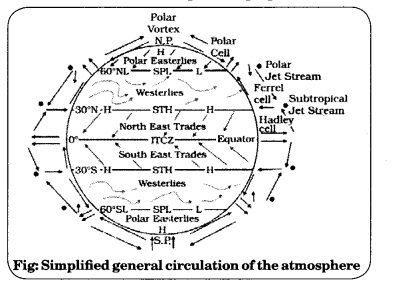 Class 11 Geography NCERT Solutions Chapter 10 Atmospheric Circulation and Weather Systems Q3