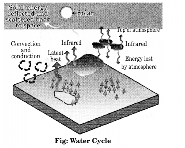 Class 11 Geography NCERT Solutions Chapter 11 Water in the Atmosphere HOTS Q2