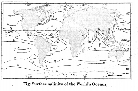 Class 11 Geography NCERT Solutions Chapter 13 Water (Oceans) Map Skills Q2