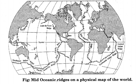Class 11 Geography NCERT Solutions Chapter 13 Water (Oceans) Map Skills Q3