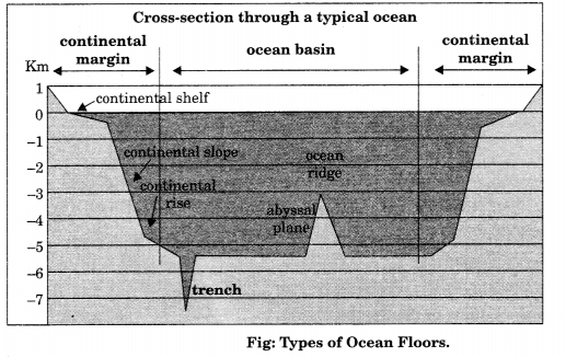 Class 11 Geography NCERT Solutions Chapter 13 Water (Oceans) Map Skills Q5