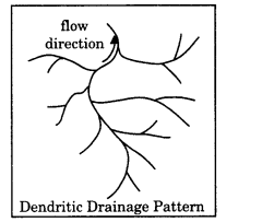 Class 11 Geography NCERT Solutions Chapter 3 Drainage System LAQ Q5