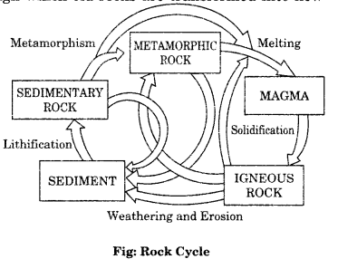 The Rock Cycle Grade 9