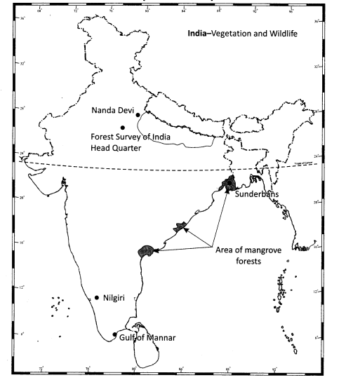 Class 11 Geography NCERT Solutions Chapter 5 Natural Vegetation Activity Q1